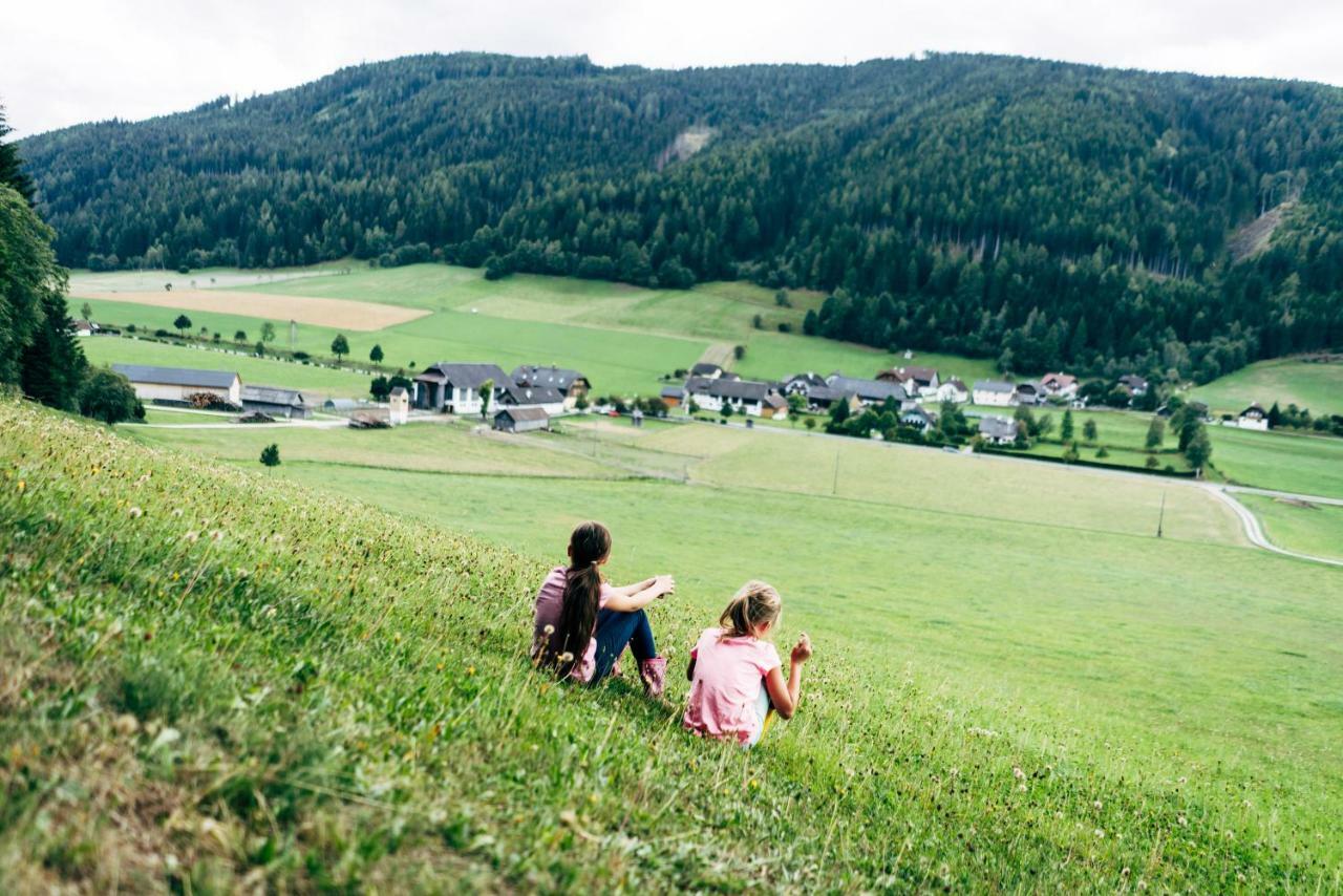 Villa Gut Neusess à Mauterndorf  Extérieur photo